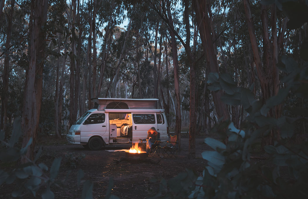 Kuitpo Forest, La Péninsule de Fleurieu