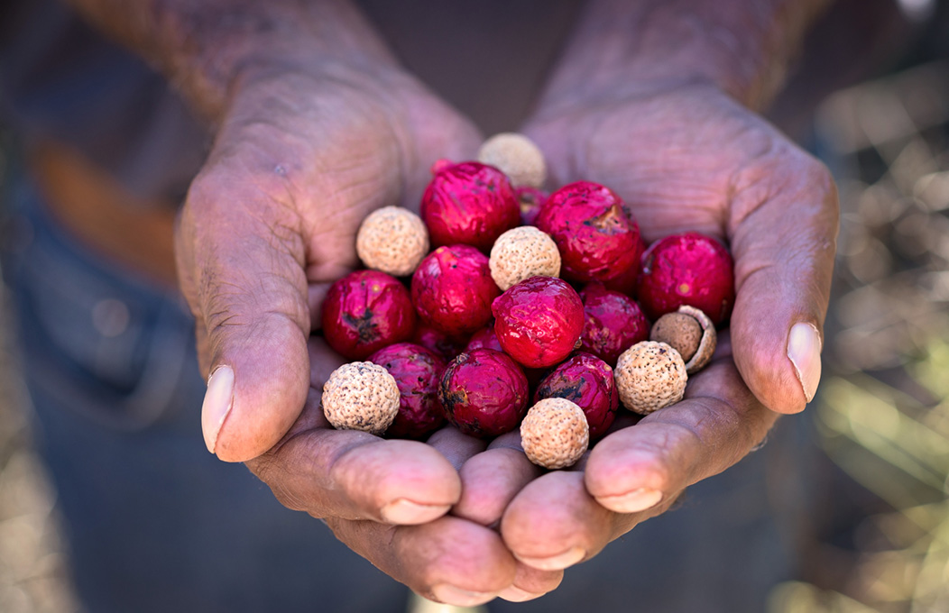 Iga Warta Tours, Flinders Ranges & Outback