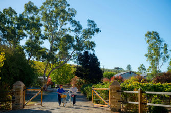 Cycling, Clare Valley