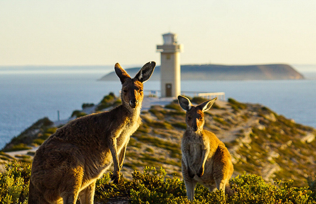 Cape Spencer Lighthouse, La Péninsule de Yorke