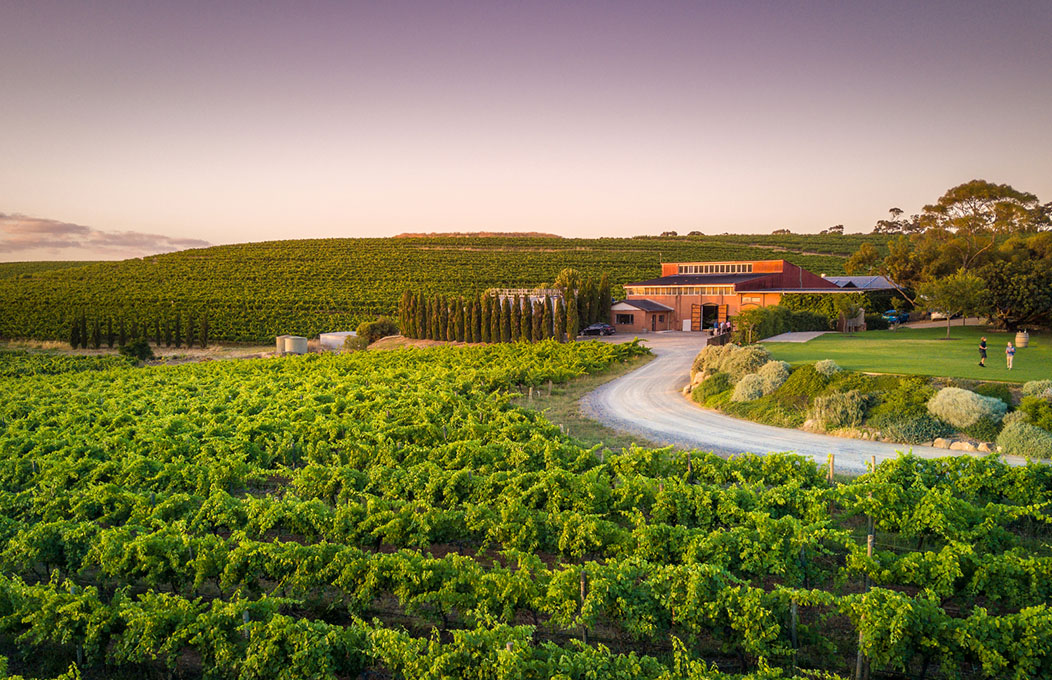 Coriole Vineyards, La Péninsule de Fleurieu