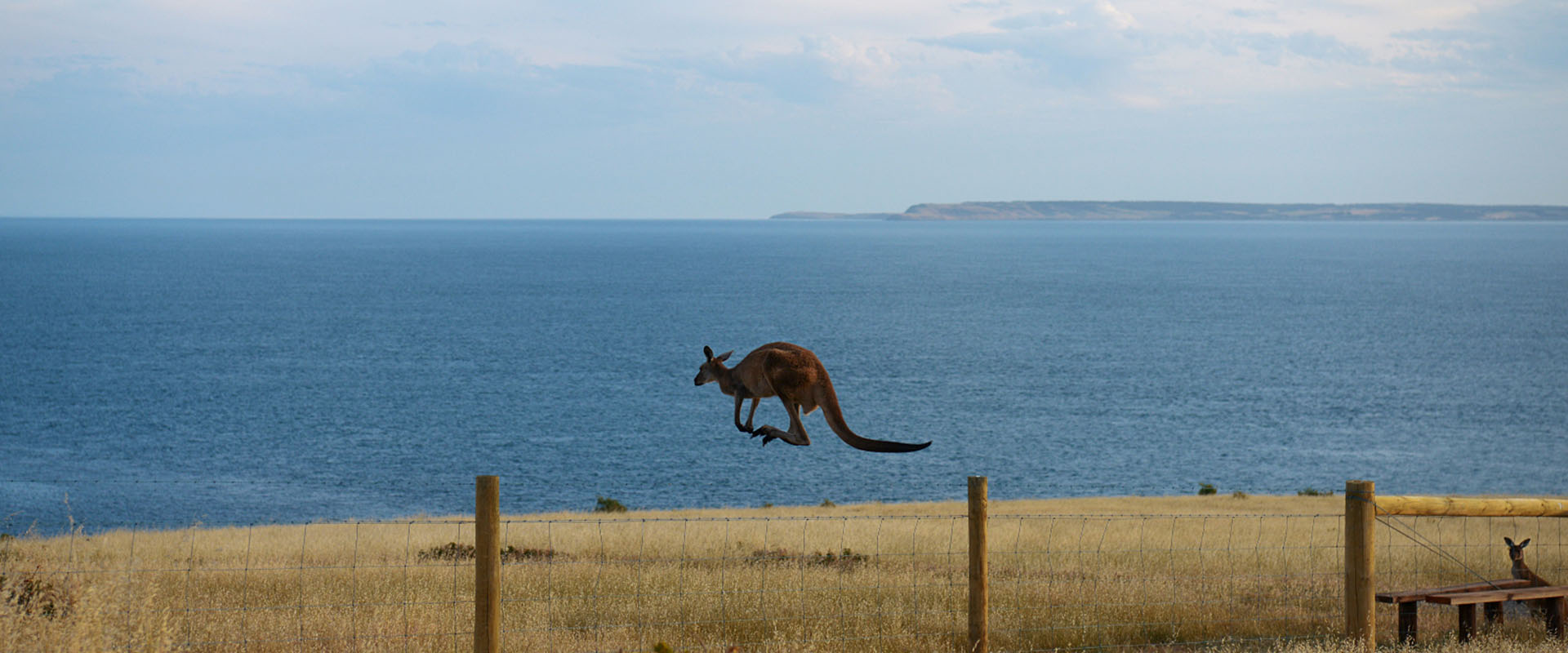 Deep Creek Conservation Park, Fleurieu Peninsula (1)