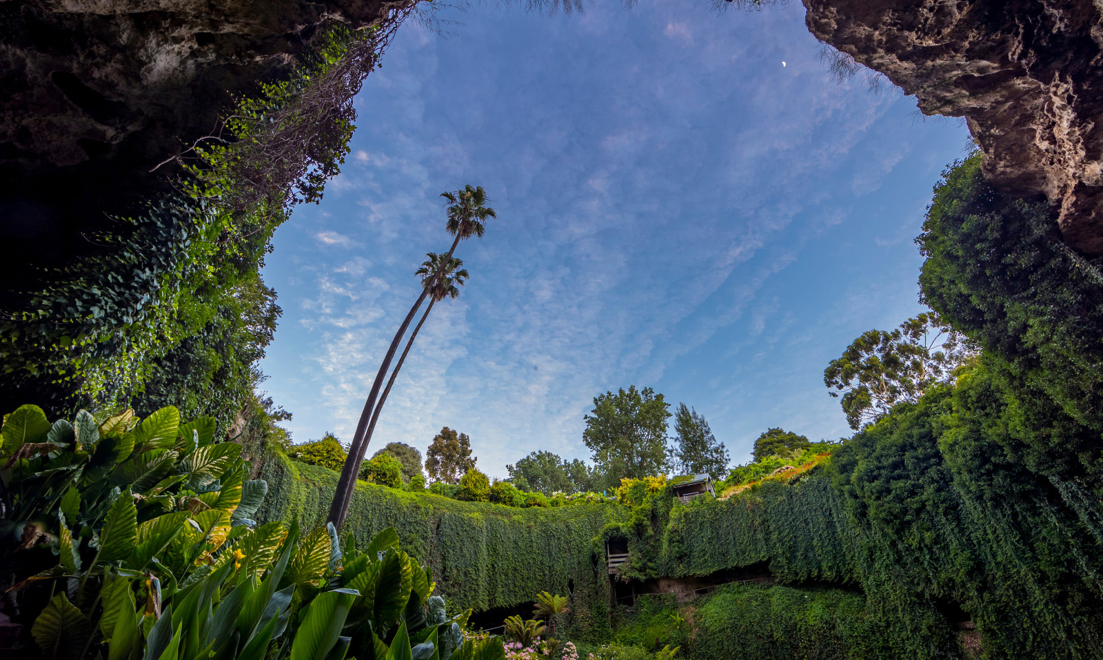 Umpherston Sinkhole, Limestone Coast