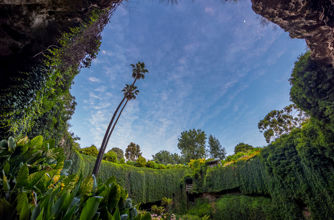 Umpherston Sinkhole, Limestone Coast