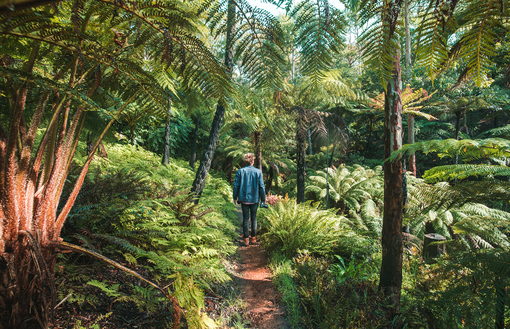Mount Lofty Botanic Gardens, Adelaide Hills