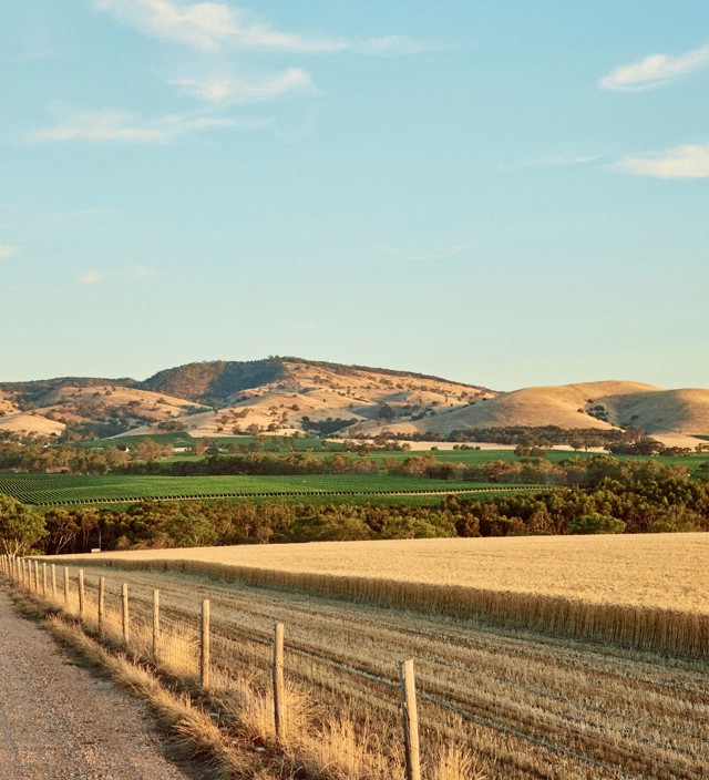 Barossa