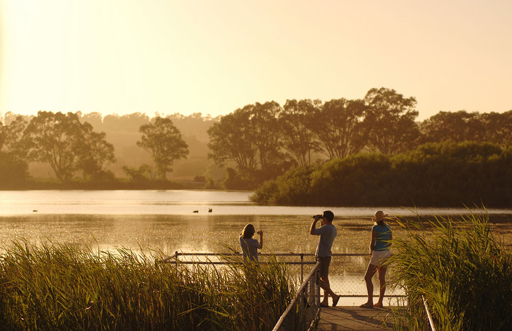 Bird Watching, Murray River