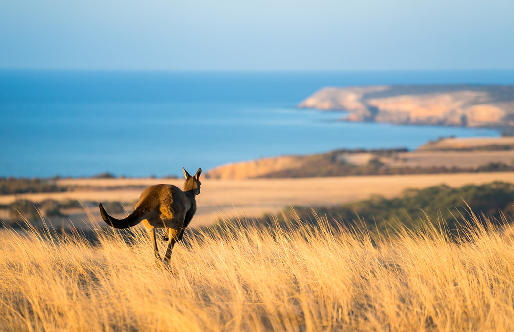Middle River, Kangaroo Island